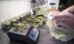 Read: New England Cannabis Farm to Deploy Salient Systems VMS