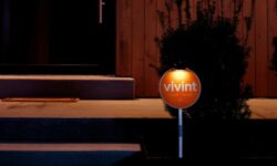 Read: Vivint Stock Surges 20% Following Q3 Results